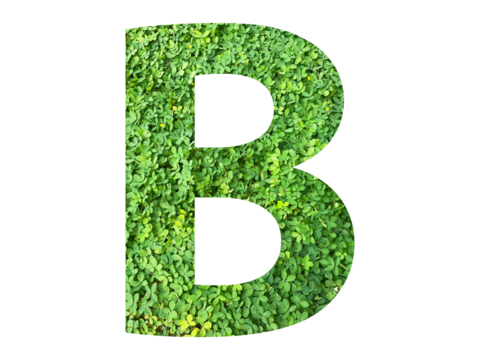 B shape made from green grass isolated on transparent background, suitable for template go green concept, PNG 
