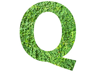 Q shape made from green grass isolated on transparent background, suitable for template go green concept, PNG