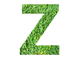 Z shape made from green grass isolated on transparent background, suitable for template go green...
