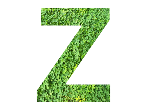 Z shape made from green grass isolated on transparent background, suitable for template go green concept, PNG