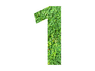 The shape of the number 1 is made of green grass isolated on transparent background. Go green concept.