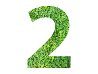 The shape of the number 2 is made of green grass isolated on transparent background. Go green concept.