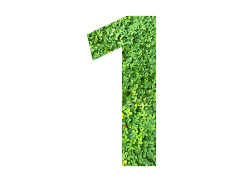 The shape of the number 1 is made of green grass isolated on transparent background. Go green concept.