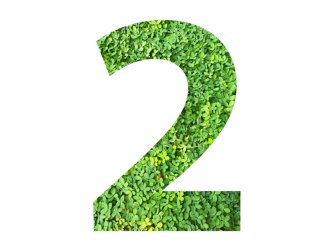 The shape of the number 2 is made of green grass isolated on transparent background. Go green concept.