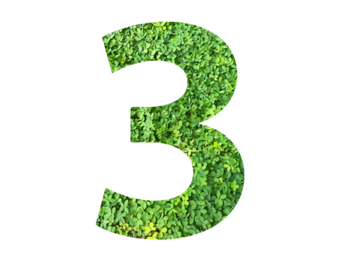 The shape of the number 3 is made of green grass isolated on transparent background. Go green concept.