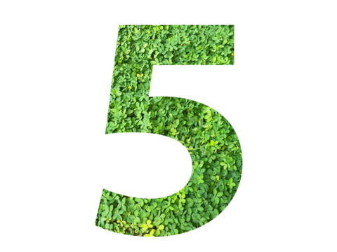 The shape of the number 5 is made of green grass isolated on transparent background. Go green concept.