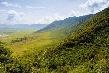 African landscape Tanzania with trees, mountains.