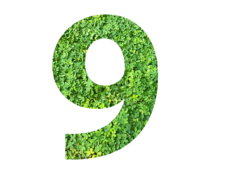 The shape of the number 9 is made of green grass isolated on transparent background. Go green concept.