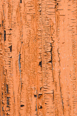 The background of the wall with the texture of boards painted with orange paint