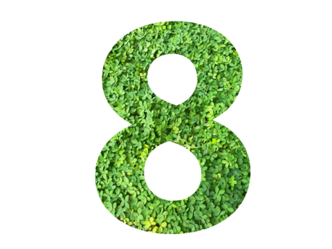 The shape of the number 8 is made of green grass isolated on transparent background. Go green concept.