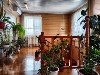 Fototapeta na wymiar beautiful corridor decorated with wooden boards, homemade flowers for decoration and a window in the background. Location for photo shoots with a winter garden