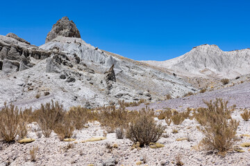 Traveling the famous Ruta40 in the scenic Argentinian highlands - fantastic views while driving through colorful and remarkably shaped mountains and watching wildlife in high altitude in South America