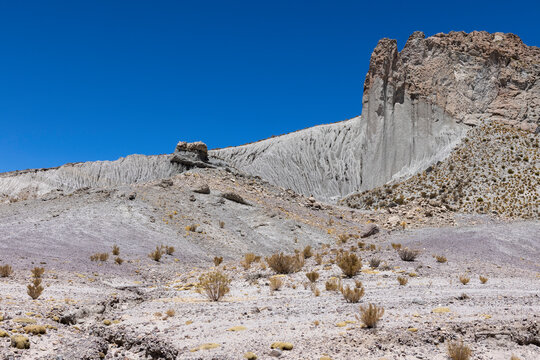 Unco Bilder Durchsuchen 1,291 Archivfotos, und Videos