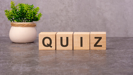 QUIZ concept on wooden cubes and flower in a pot in the background