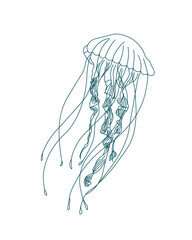 Illustration, contour jellyfish on a white background. Print, sketch, vector © Tatiana