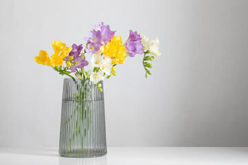   freesia flowers  in glass modern vase on white background