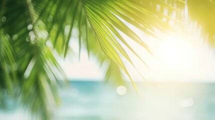 Fototapeta na wymiar Blur beautiful nature green palm leaf on tropical beach with bokeh sun light wave abstract background.