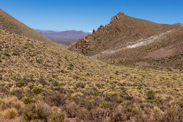 Traveling the famous Ruta40 in the scenic Argentinian highlands - fantastic views while driving through colorful and remarkably shaped mountains and watching wildlife in high altitude in South America