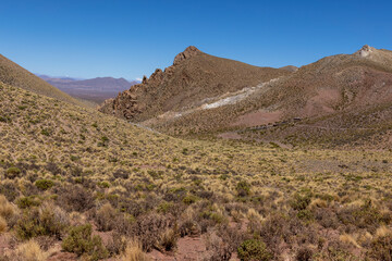 Traveling the famous Ruta40 in the scenic Argentinian highlands - fantastic views while driving through colorful and remarkably shaped mountains and watching wildlife in high altitude in South America