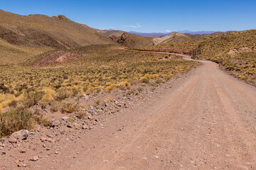Traveling the famous Ruta40 in the scenic Argentinian highlands - fantastic views while driving through colorful and remarkably shaped mountains and watching wildlife in high altitude in South America