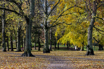 City park Folkparken during early November in Norrköping, Sweden.