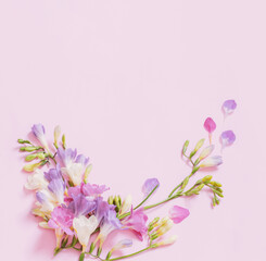 Obraz na płótnie Canvas beautiful freesia flowers on pink background