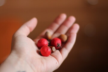 Handful of red rose hips and hazelnuts on a wooden background, close up