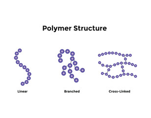 Types of Protein Structure. Proteins are biological polymers composed of amino acids.