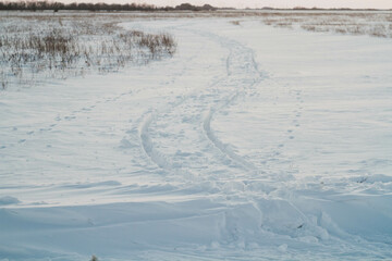 Fantastic winter landscape. Frozen grass in the snow. Winter nature in the rays of sunset.