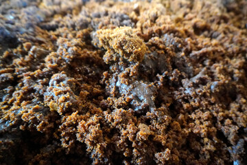 Wet brown soil texture, rough irregular texture details