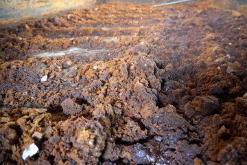 Wet brown soil texture, rough irregular texture details