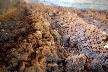 Wet brown soil texture, rough irregular texture details