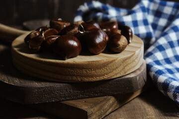 Chestnut Photography