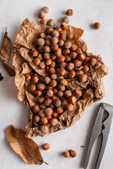 Top view of nutcracker, hazelnuts on paper on delicate background. Copy space.