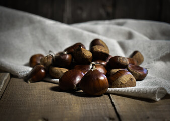 Chestnut Photography
