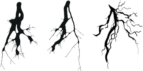Tree Root Vector Illustration, Black and White, Three Styles, Isolated on White Background. Modern, abstract to detailed, realistic designs of tree roots, perfect for nature, ecology, botany themes