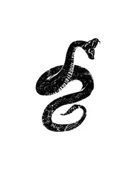 Snake coiled fangs graphic illustration isolated on transparent background