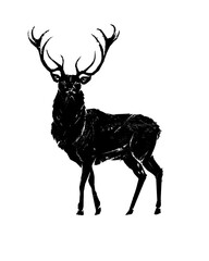 Stag looking graphic illustration isolated on transparent background