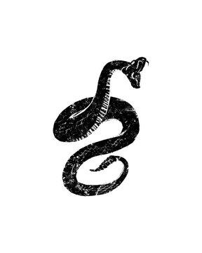 Snake coiled fangs graphic illustration isolated on transparent background