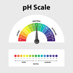 Ph level Scale chart indicator diagram value. Alkaline, neutral, acidic solution.