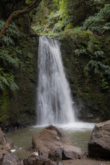waterfall in the forest