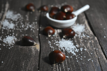 Chestnut Photography