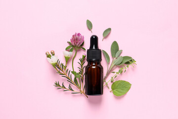 Bottle of essential oil, different herbs and flowers on pink background, flat lay