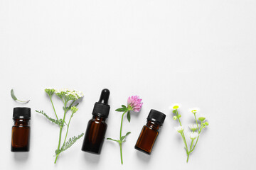 Bottles of essential oils, different herbs and flowers on white background, flat lay. Space for text