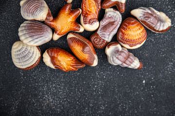 seashell candy chocolate sweet seashells dessert eating meal food snack on the table copy space food background rustic top view