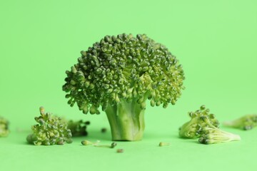 Fresh raw broccoli on light green background