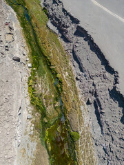 Salado River near Calama in the north of Chile - a crack with fresh water, lush green vegetation and even trouts crossing the otherwise bone dry Atacama desert - what a spectacular surprise by nature