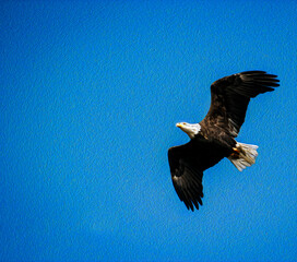 Eagle Flying or Soaring Freedom Filtered Photo - Veterans Day, Memorial Day, Independence National Bird of the United States of America, One Nation Under God, Patriotic, Social Media Post/Ad, 