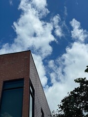 Fototapeta na wymiar Corner building, cloudy sky, and a soaring bird.