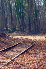 Stillgelegte Eisenbahngleise im Herbstwald